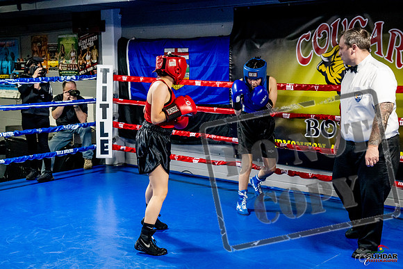 Cougar Boxing Basement Brawl -0559