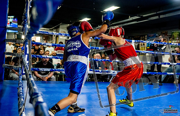 Cougar Boxing Basement Brawl -0229