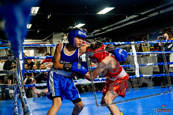 Cougar Boxing Basement Brawl -0240