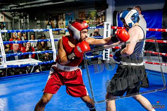 Cougar Boxing Basement Brawl -0424
