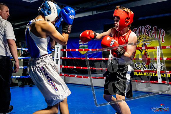 Cougar Boxing Basement Brawl -0159