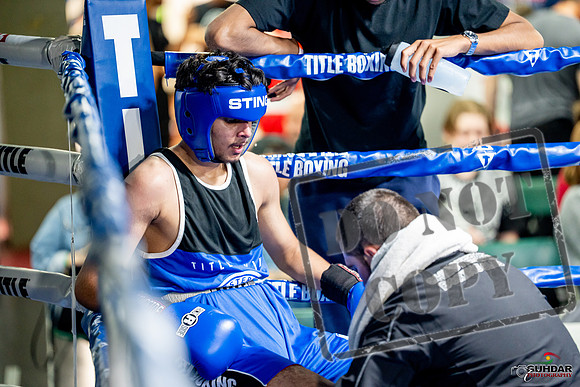 Cougar boxing June 7th 2025-0618