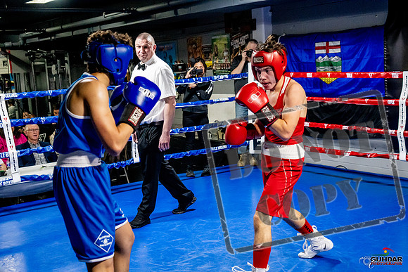 Cougar Boxing Basement Brawl -0459