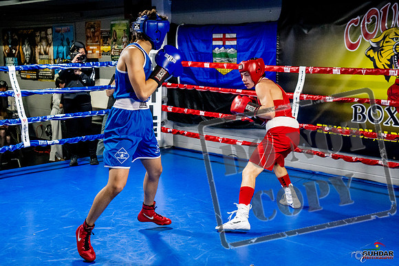 Cougar Boxing Basement Brawl -0441