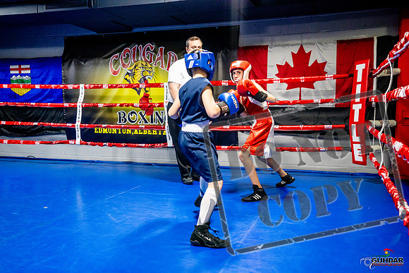 Cougar Boxing Basement Brawl -0045
