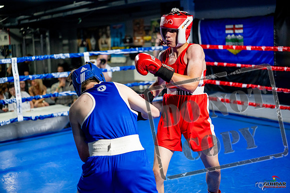 Cougar boxing June 7th 2025-0918
