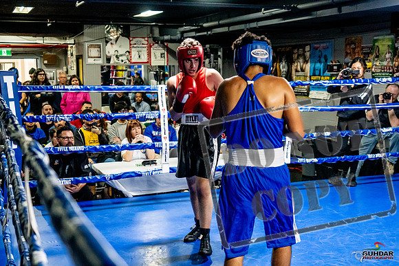 Cougar Boxing Basement Brawl -0625