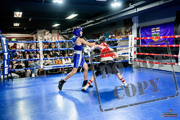 Cougar Boxing Basement Brawl -0006