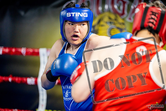 Cougar boxing June 7th 2025-0713