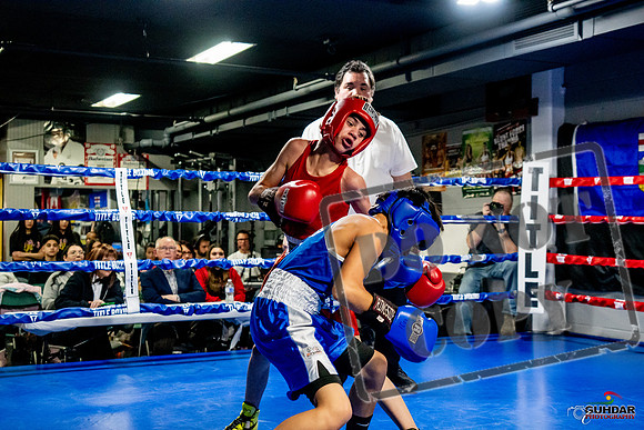 Cougar Boxing Basement Brawl -0255
