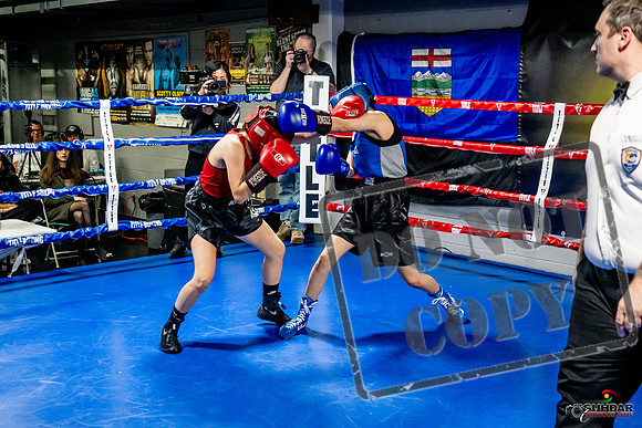 Cougar Boxing Basement Brawl -0552