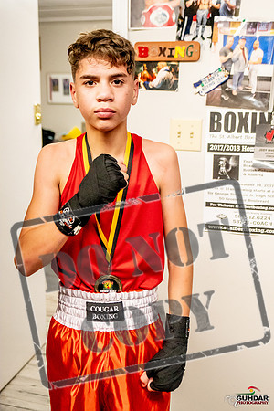 Cougar Boxing Basement Brawl -0277