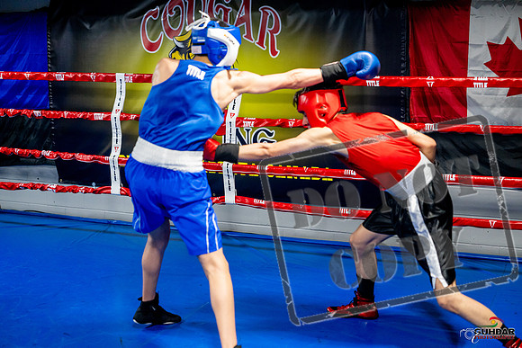 Cougar boxing June 7th 2025-0665
