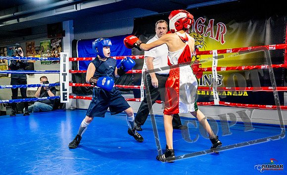 Cougar Boxing Basement Brawl -0043