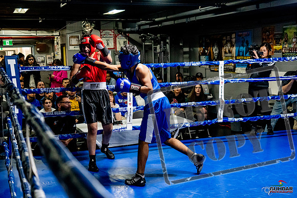Cougar Boxing Basement Brawl -0622