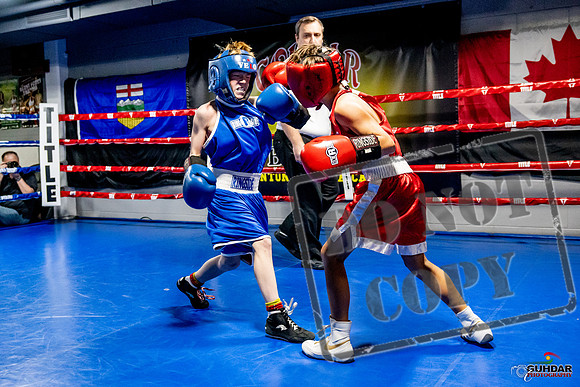 Cougar Boxing Basement Brawl -0086
