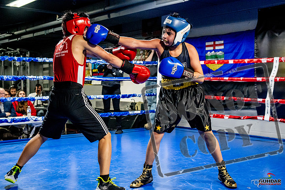 Cougar Boxing Basement Brawl -0301