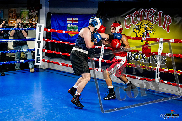 Cougar Boxing Basement Brawl -0410