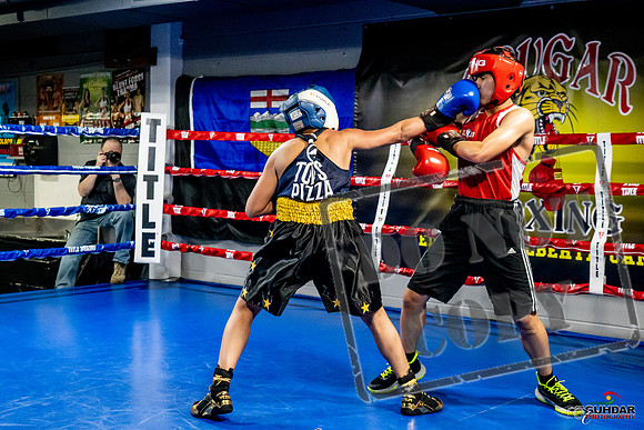 Cougar Boxing Basement Brawl -0292
