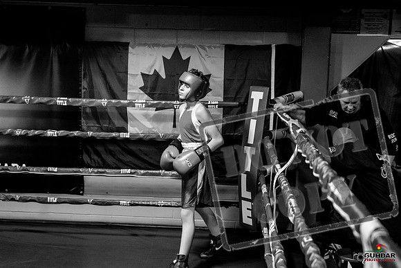 Cougar Boxing Basement Brawl -0318