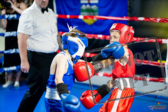Cougar boxing June 7th 2025-0022