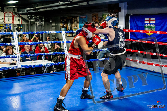 Cougar Boxing Basement Brawl -0373