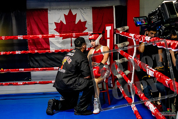 Cougar Boxing Basement Brawl -0489