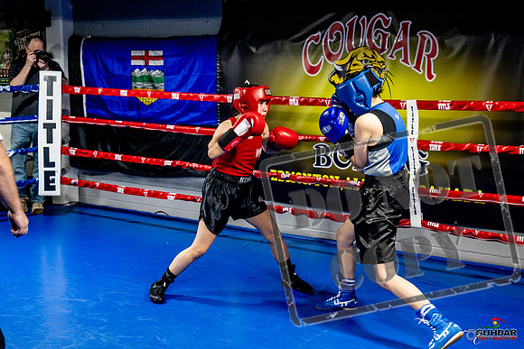 Cougar Boxing Basement Brawl -0553