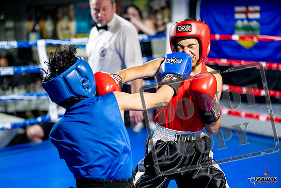 Cougar boxing June 7th 2025-0186