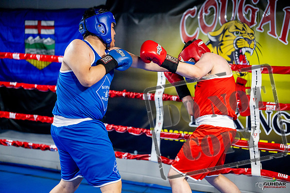 Cougar boxing June 7th 2025-0733
