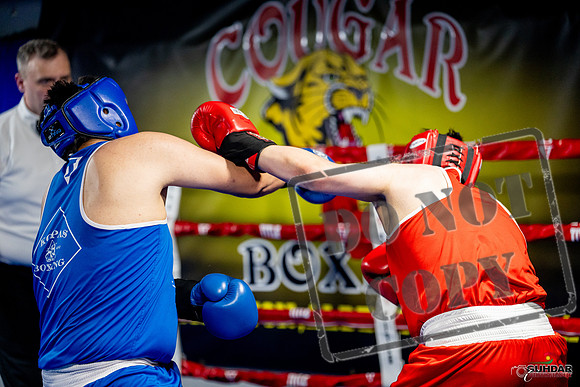 Cougar boxing June 7th 2025-0743