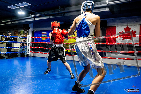 Cougar Boxing Basement Brawl -0142