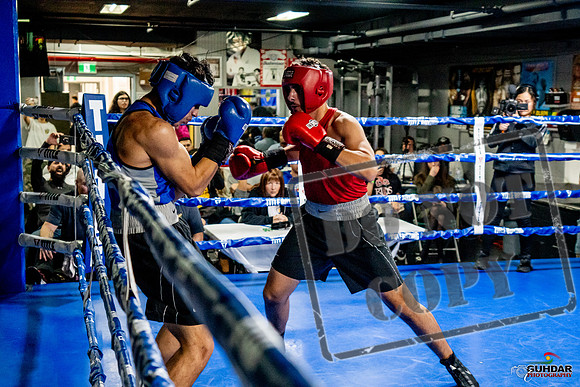 Cougar Boxing Basement Brawl -0662