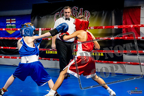 Cougar Boxing Basement Brawl -0072
