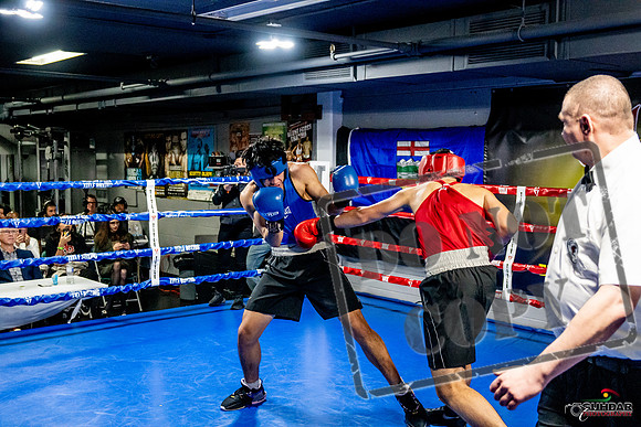 Cougar Boxing Basement Brawl -0679