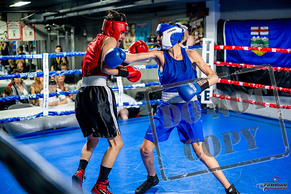 Cougar boxing June 7th 2025-0681