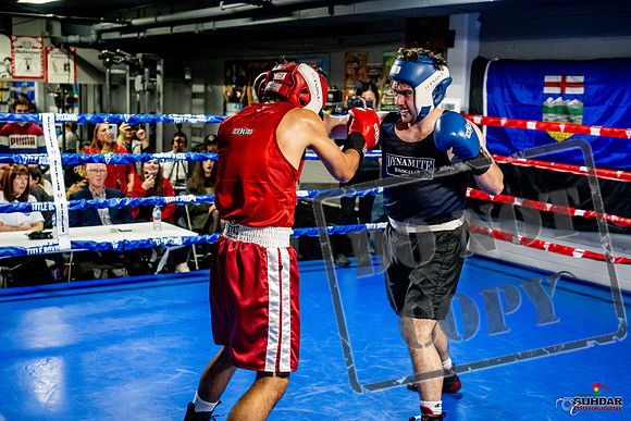 Cougar Boxing Basement Brawl -0422