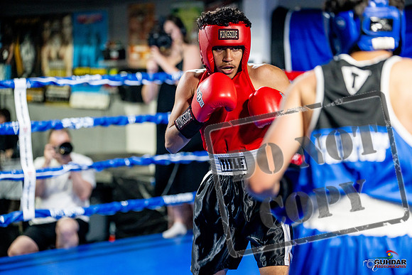 Cougar boxing June 7th 2025-0630