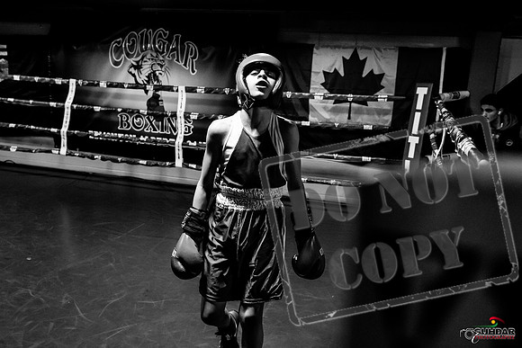 Cougar Boxing Basement Brawl -0343