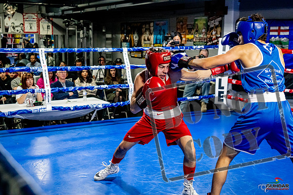 Cougar Boxing Basement Brawl -0443