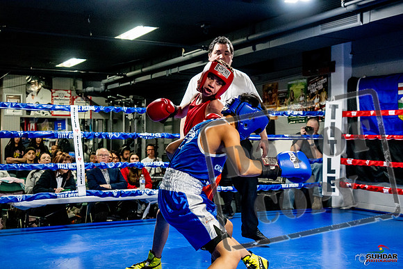 Cougar Boxing Basement Brawl -0257