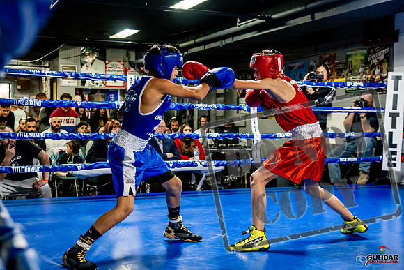 Cougar Boxing Basement Brawl -0225