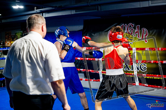 Cougar boxing June 7th 2025-0849
