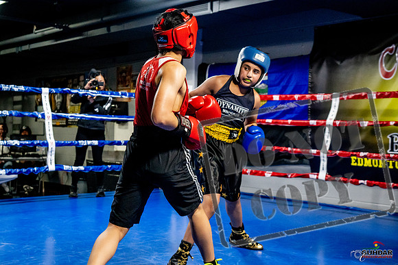Cougar Boxing Basement Brawl -0283