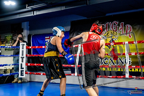 Cougar Boxing Basement Brawl -0306