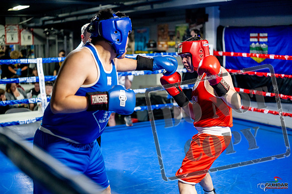 Cougar boxing June 7th 2025-0746