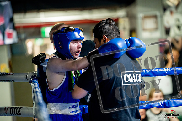 Cougar boxing June 7th 2025-0910
