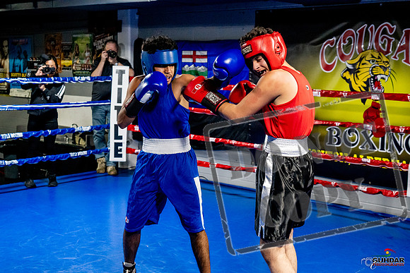 Cougar Boxing Basement Brawl -0640