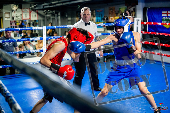 Cougar boxing June 7th 2025-0677