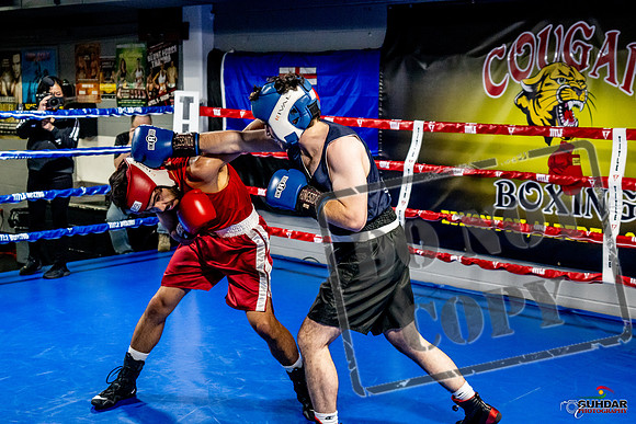 Cougar Boxing Basement Brawl -0391